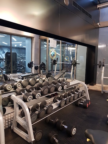 Free weights section at Gspa gym in Lebanon